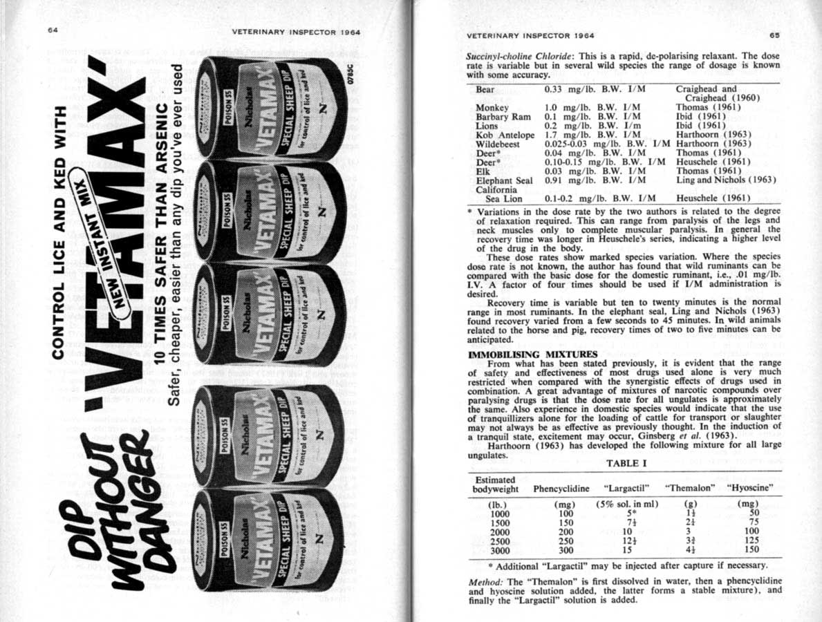 1964 Page 64 65